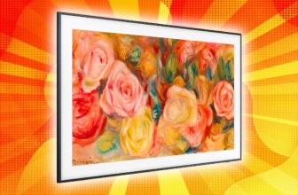 Do not buy a Body copycat TV with out figuring out 3 issues first