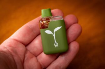 A Clean Disposable Vape Minus the Microplastics