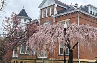 The Little Issues Publication #463 – Life, laughter, and plenty of nice meals!