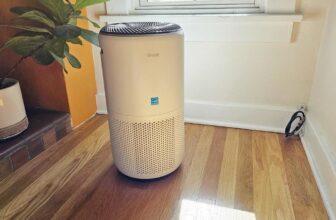 Prime Day offers embrace $37 off our favourite Levoit air air purifier
