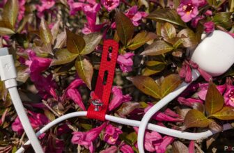 If you happen to solely purchase one USB-C charger in 2025, make it this one