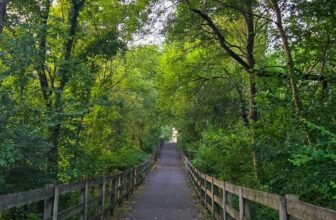 The Little Issues E-newsletter #479 – Life, laughter, and many nice meals!