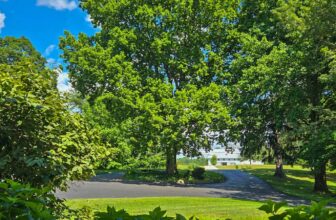 The Little Issues Publication #476 – Life, laughter, and many nice meals!