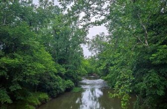 The Little Issues Publication #478 – Life, laughter, numerous nice meals!