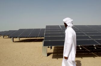 UAE Lab Releases Open-Supply Mannequin to Rival China’s DeepSeek