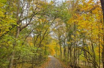 The Little Issues E-newsletter #492 – Life, laughter, and many nice meals!