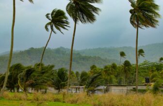 Watch These Dwell Webcam Views of Jamaica as Hurricane Melissa Makes Landfall