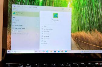 3 apps that ought to be pre-installed on each Home windows 11 pc